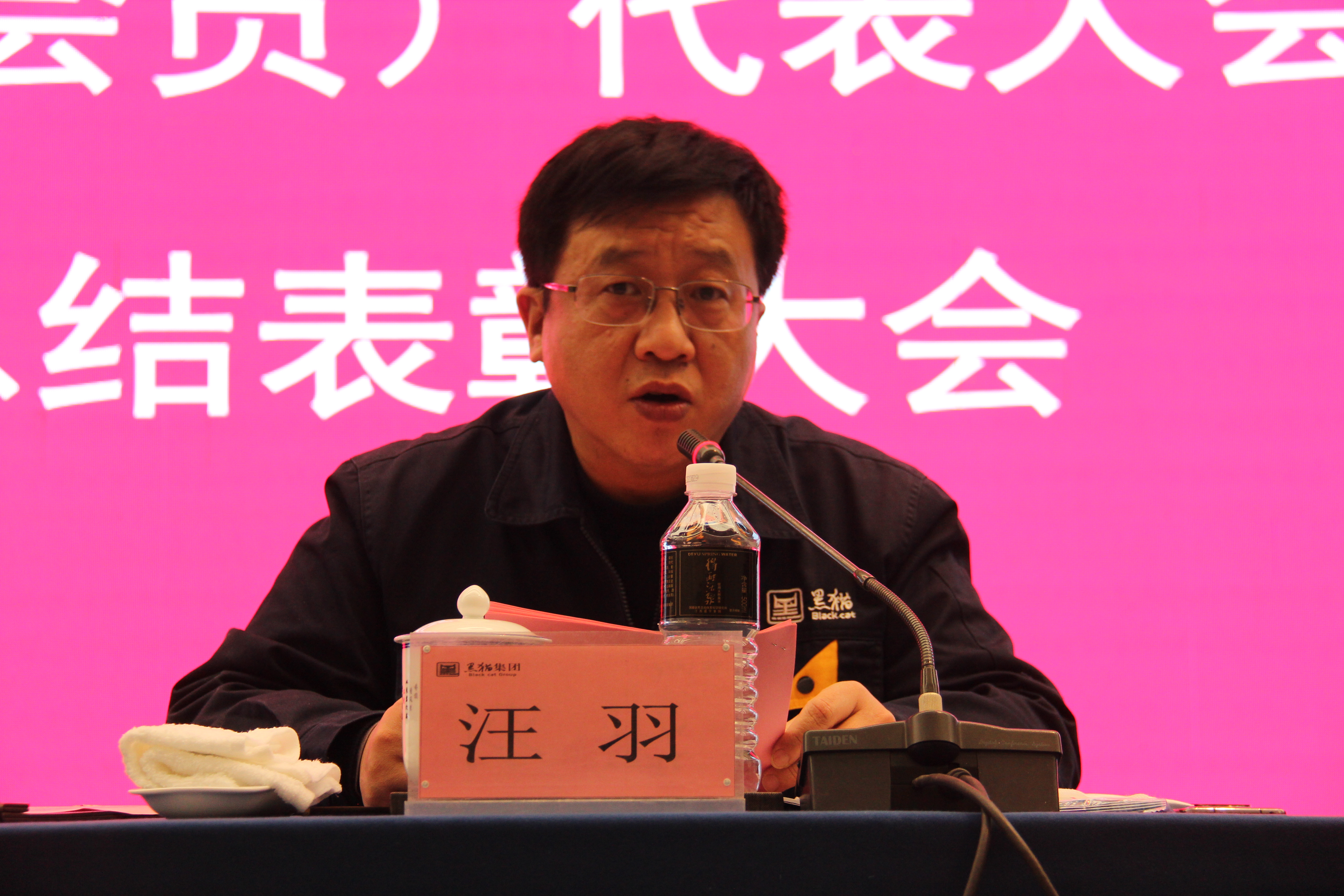 黑貓集團黨委副書記、總經(jīng)理汪羽發(fā)言 (2).JPG