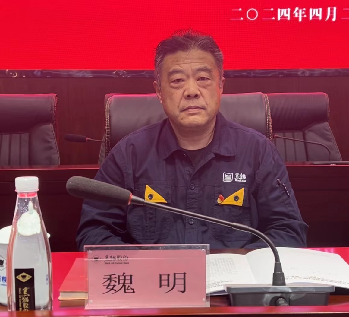 4 黑貓股份黨委副書記、董事長(zhǎng)魏明出席會(huì)議.jpg